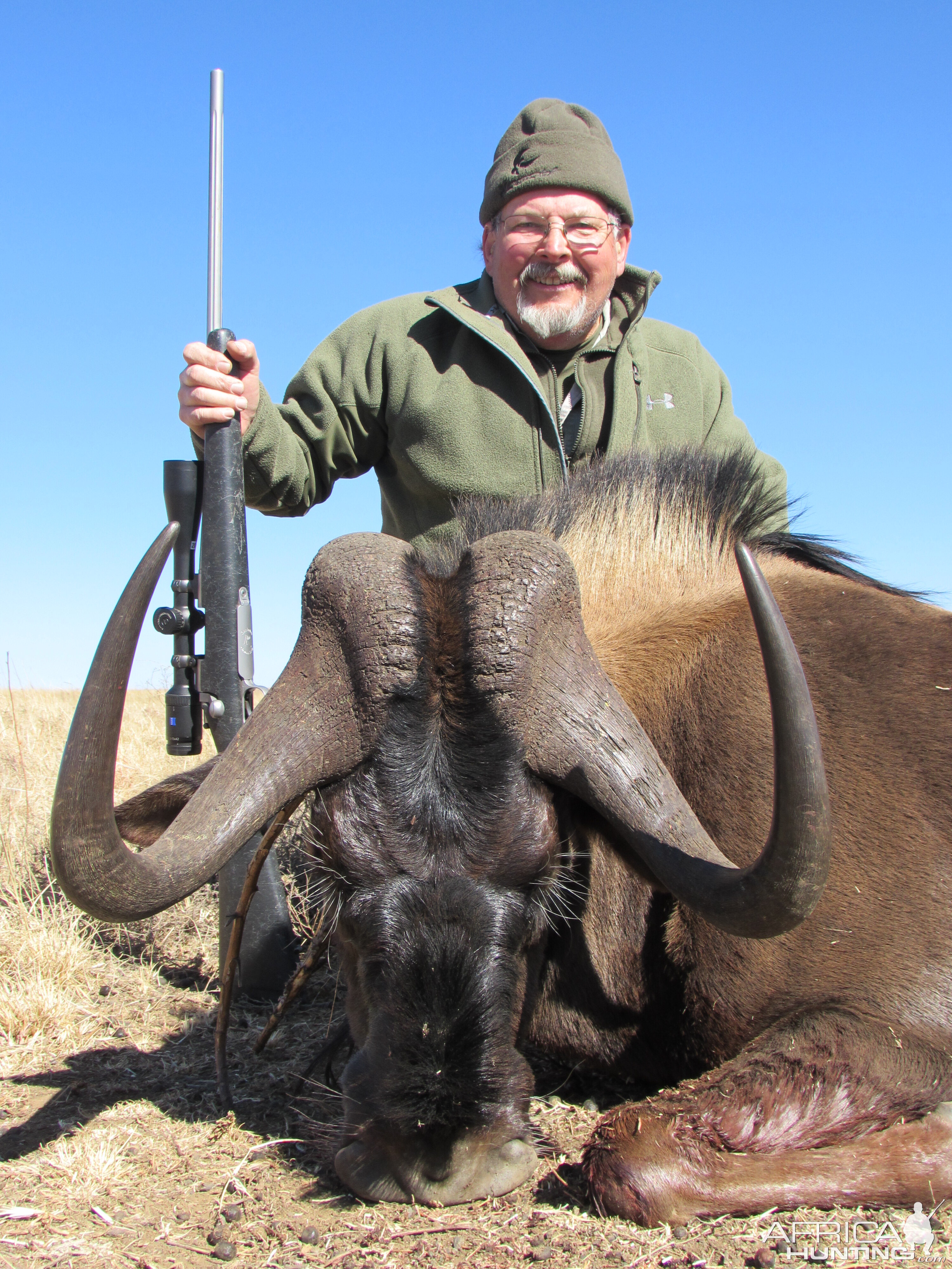 Black Wildebeest Hunt South Africa