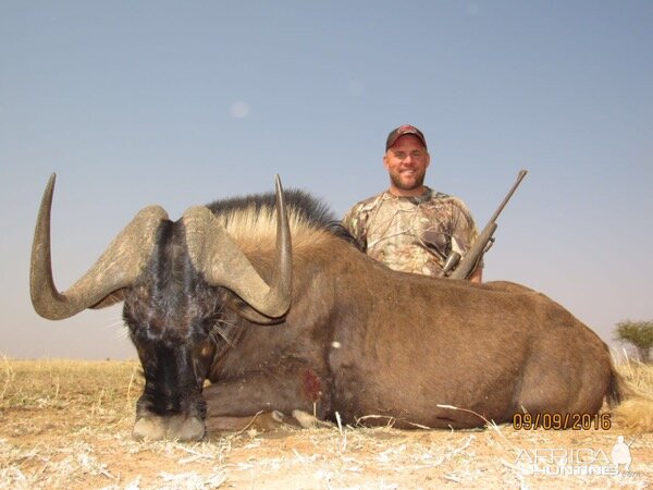 Black Wildebeest Hunt South Africa