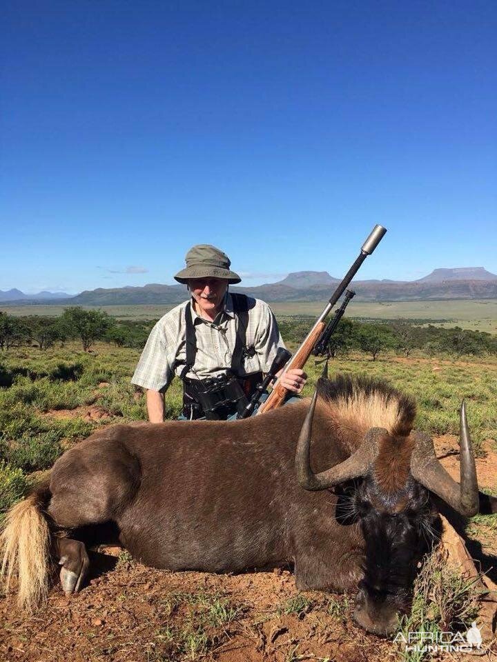 Black Wildebeest Hunt South Africa