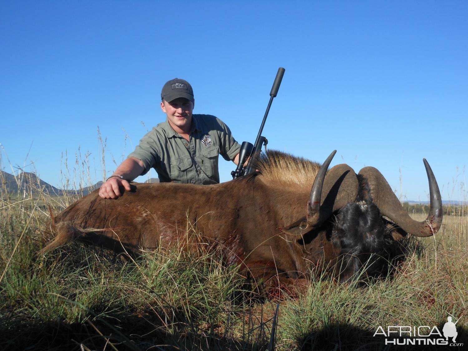 Black Wildebeest Hunt South Africa