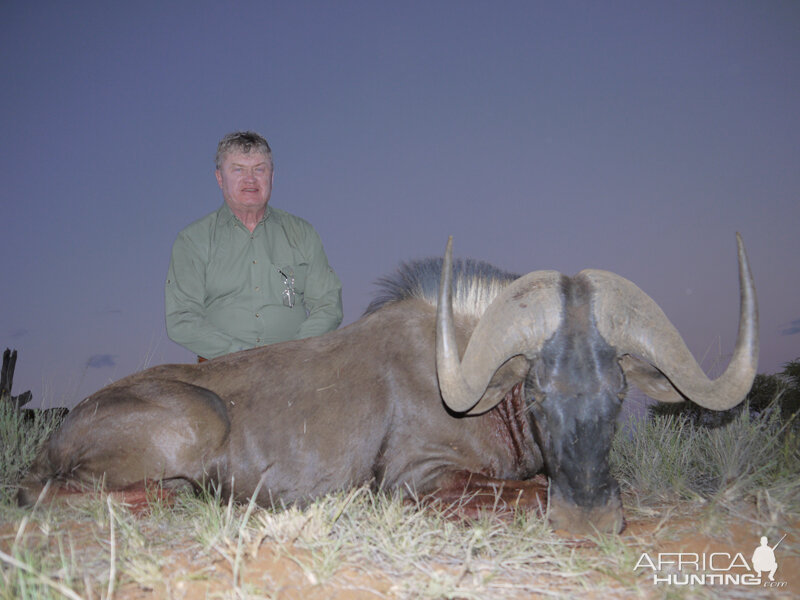 Black Wildebeest hunt with Wintershoek Johnny Vivier Safaris