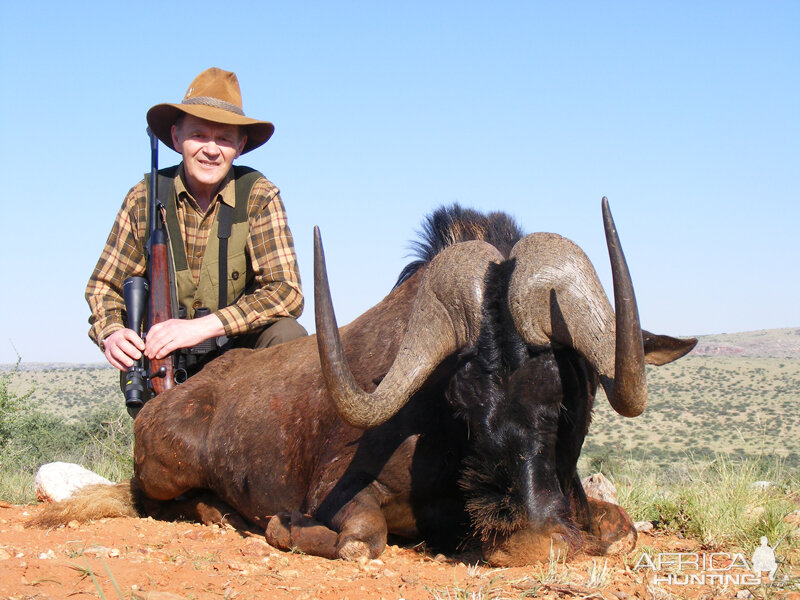 Black Wildebeest hunt with Wintershoek Johnny Vivier Safaris