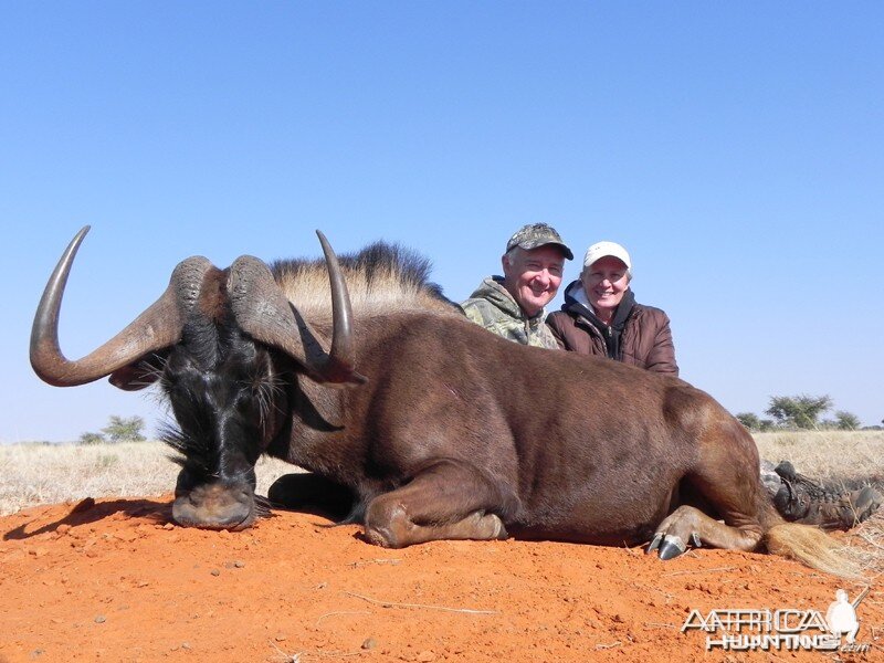 Black Wildebeest hunt with Wintershoek Johnny Vivier Safaris