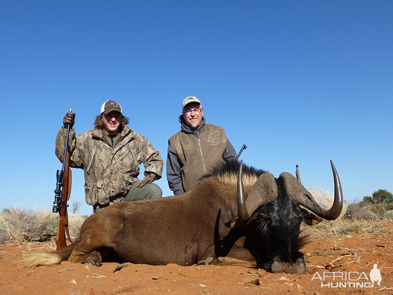 Black Wildebeest hunt with Wintershoek Johnny Vivier Safaris