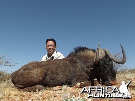 Black Wildebeest hunt with Wintershoek Johnny Vivier Safaris