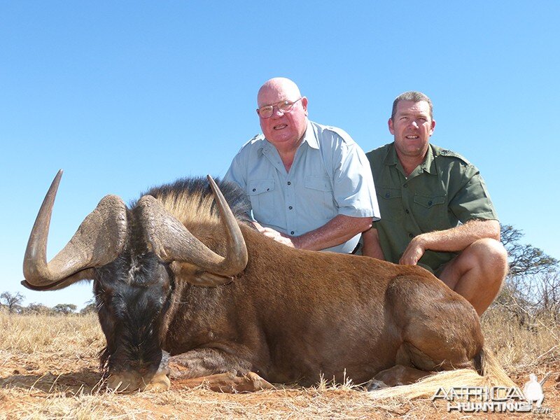 Black Wildebeest hunt with Wintershoek Johnny Vivier Safaris