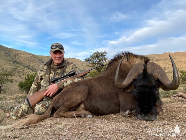 Black Wildebeest Hunt