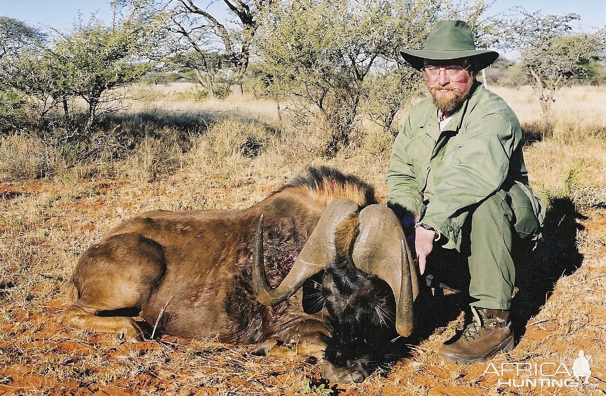 Black Wildebeest Hunt