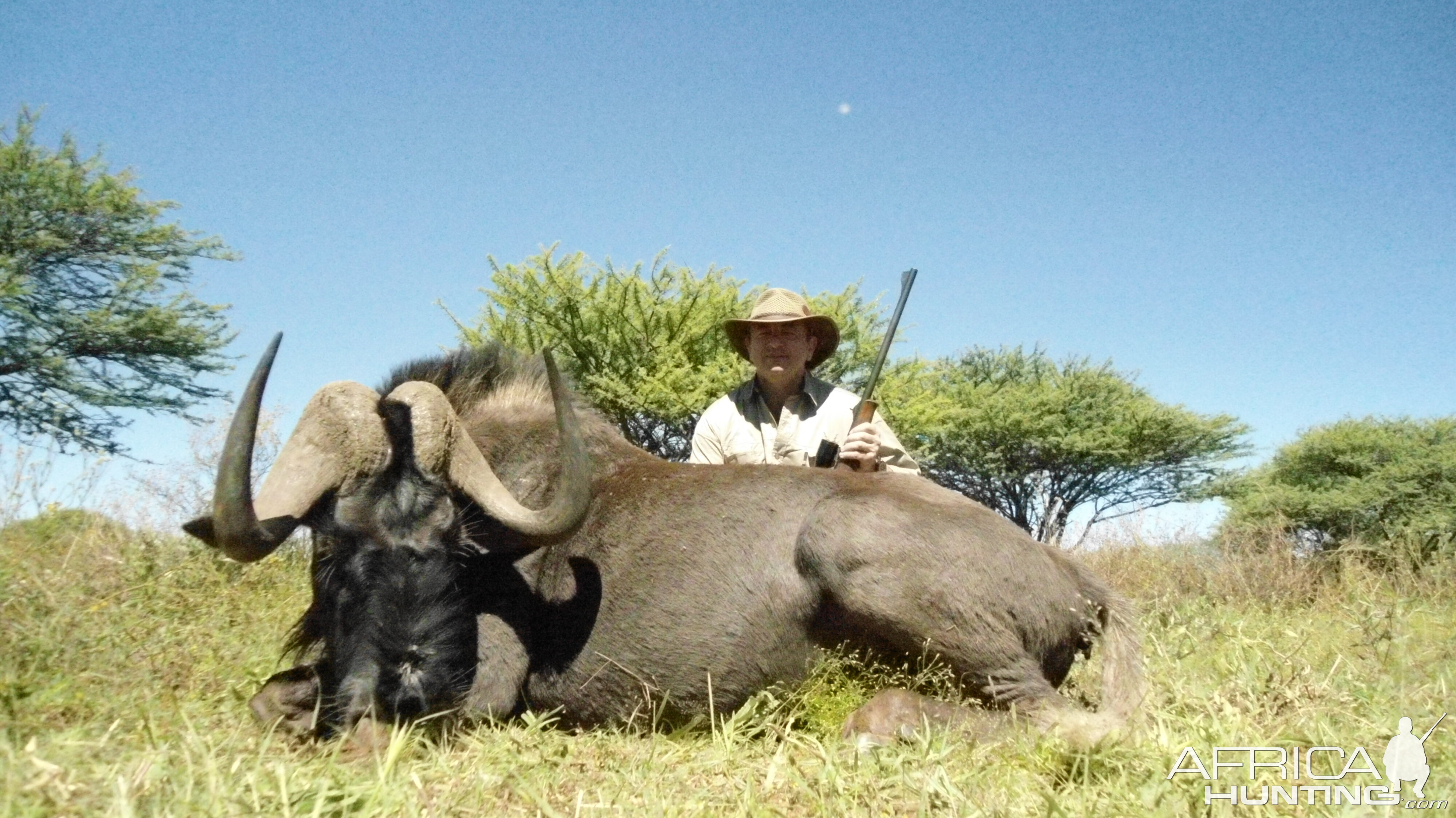 Black Wildebeest hunted with Ozondjahe Hunting Safaris in Namibia