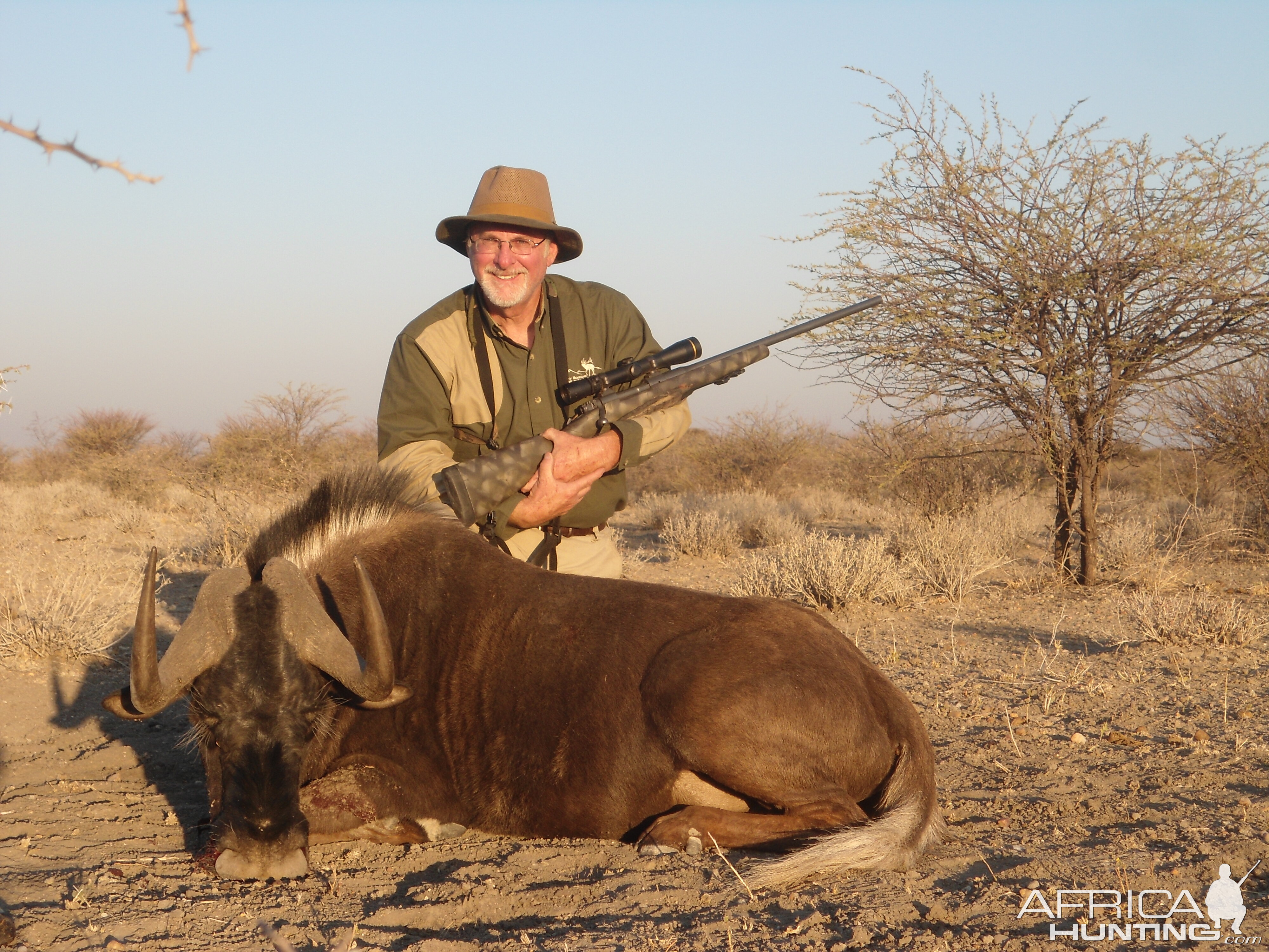 Black Wildebeest hunted with Ozondjahe Hunting Safaris in Namibia