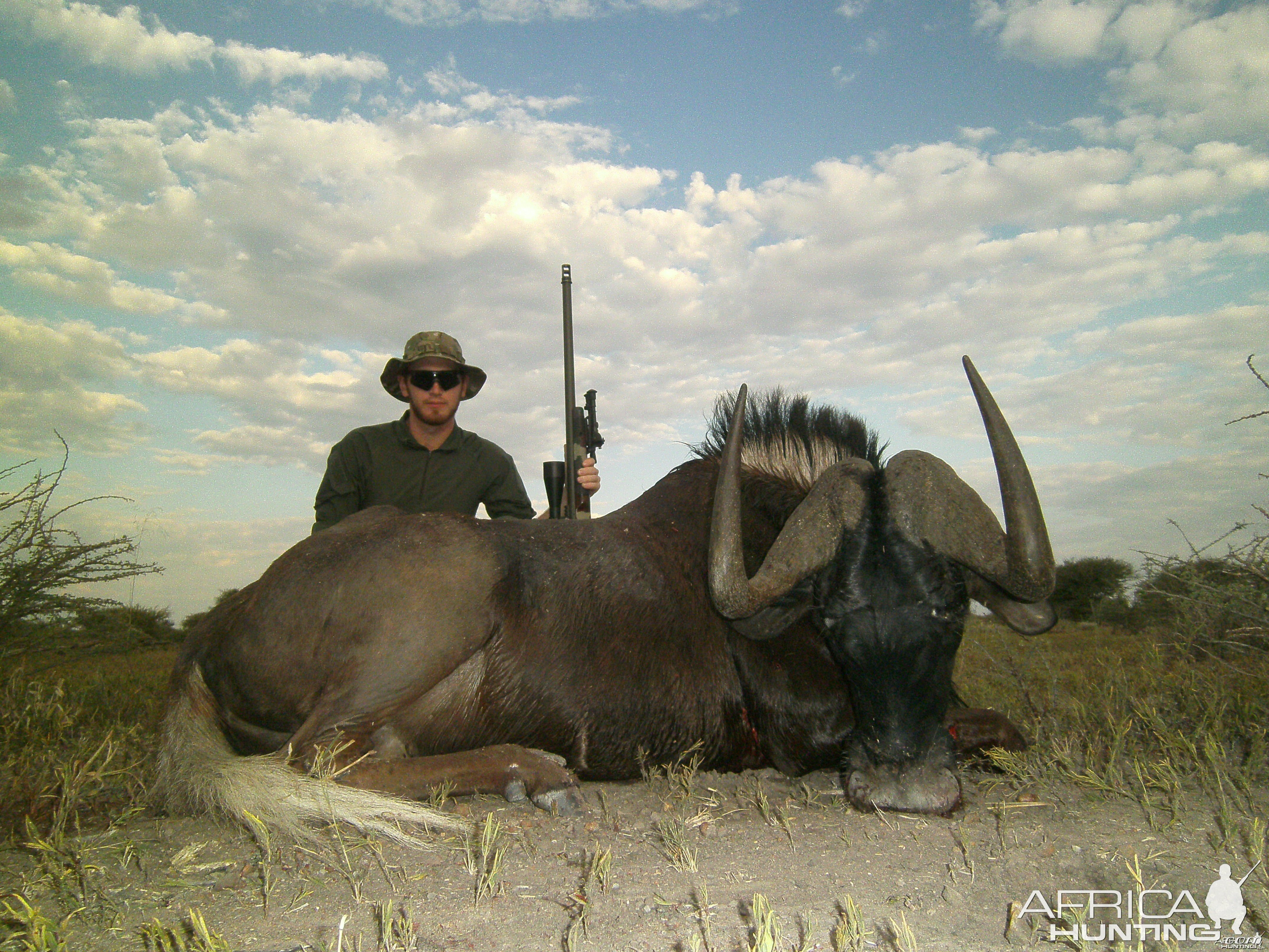 Black Wildebeest hunted with Ozondjahe Hunting Safaris in Namibia