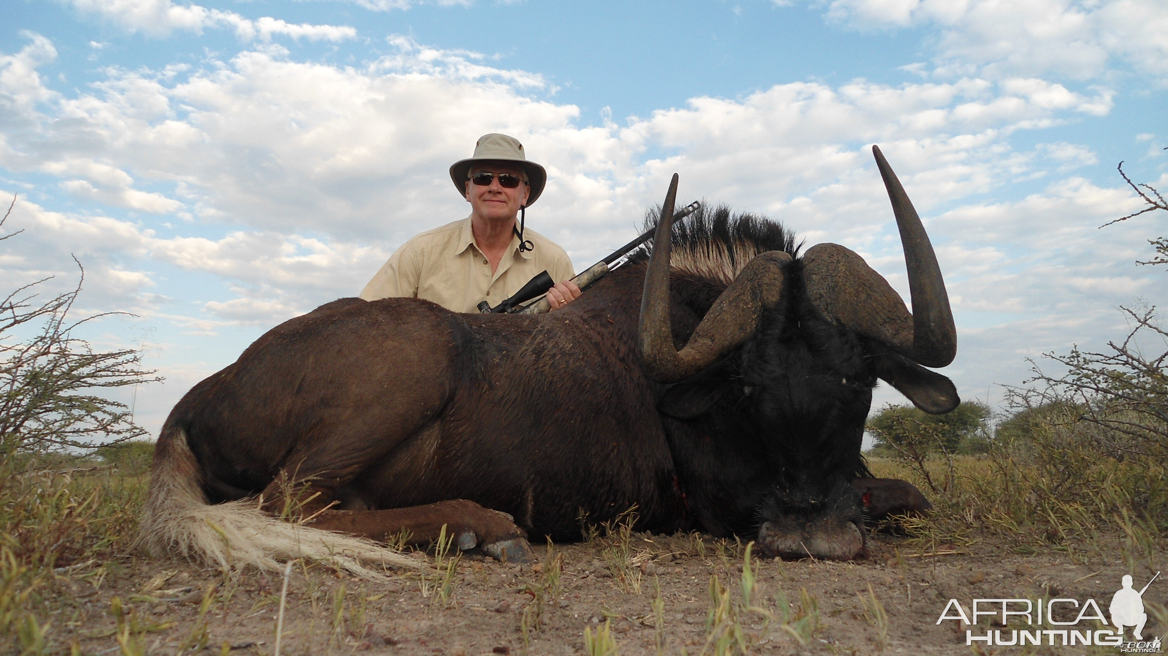 Black Wildebeest hunted with Ozondjahe Hunting Safaris in Namibia