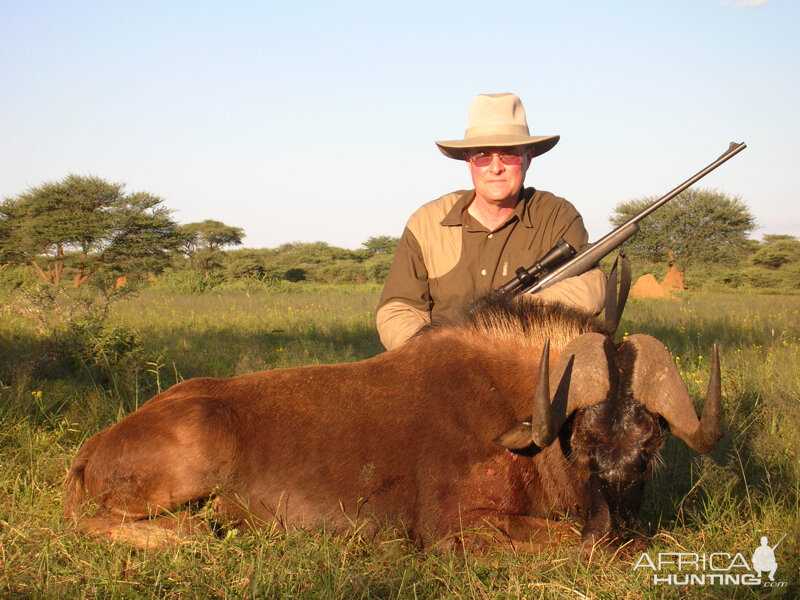 Black Wildebeest hunted with Ozondjahe Hunting Safaris in Namibia