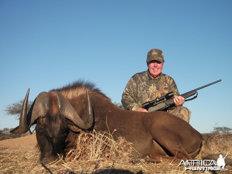 Black Wildebeest hunted with Ozondjahe Hunting Safaris in Namibia