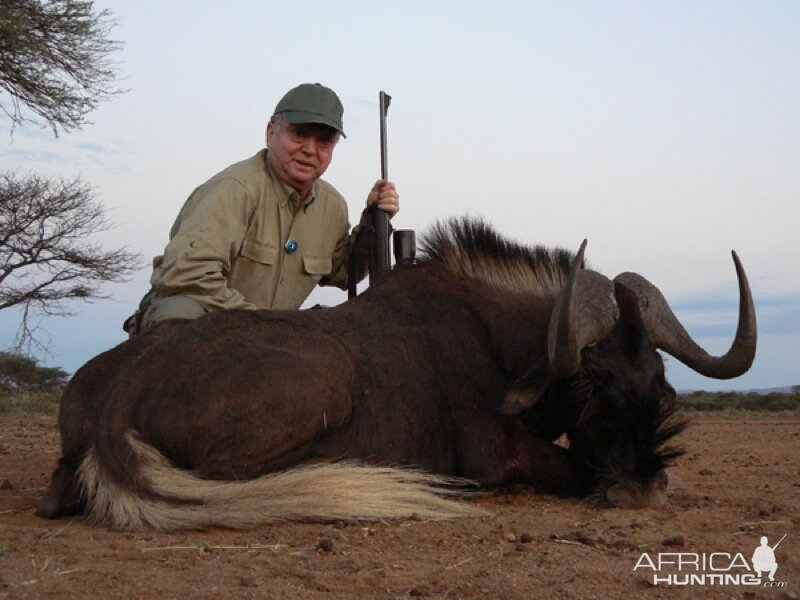 Black Wildebeest hunted with Ozondjahe Hunting Safaris in Namibia