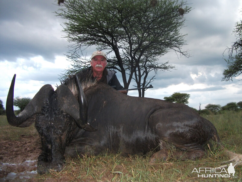 Black Wildebeest hunted with Ozondjahe Hunting Safaris in Namibia