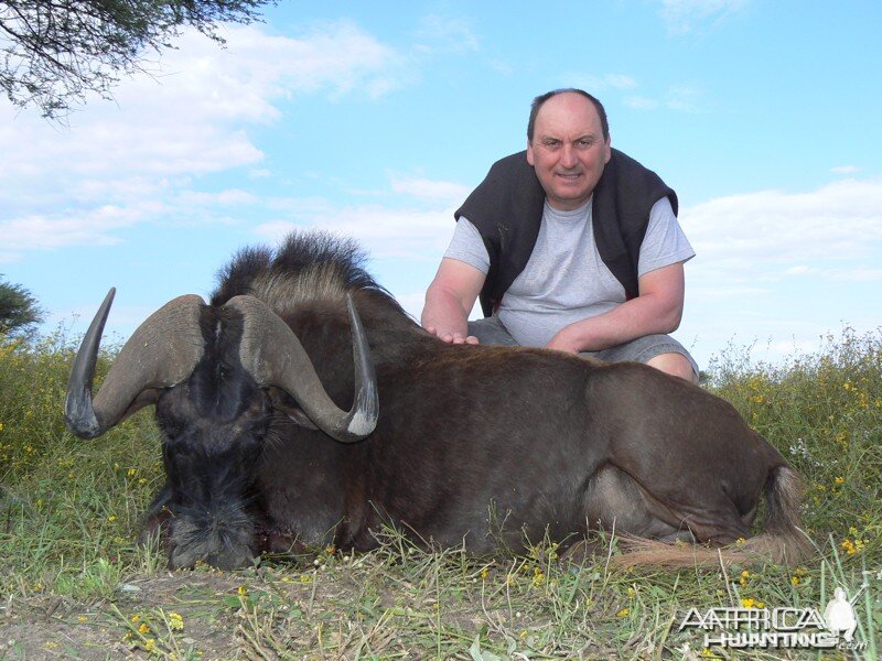 Black Wildebeest hunted with Ozondjahe Hunting Safaris in Namibia