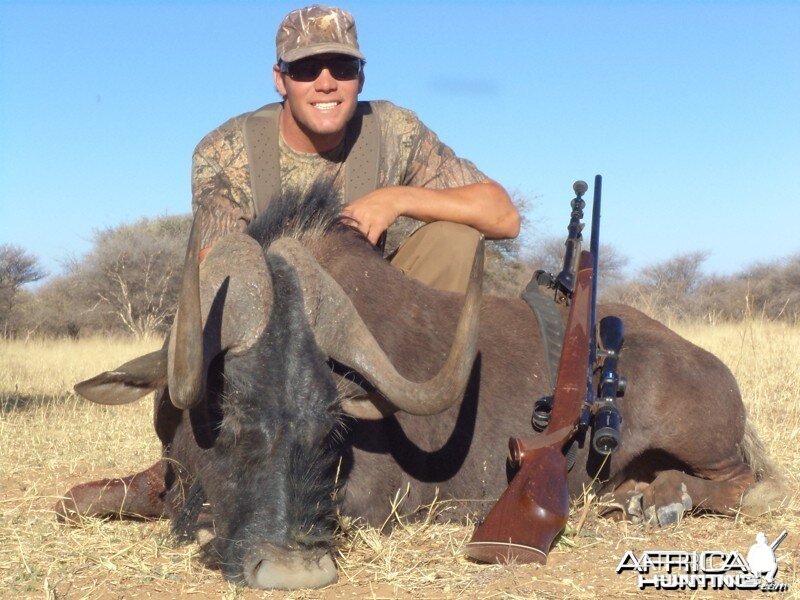 Black Wildebeest hunted with Ozondjahe Hunting Safaris in Namibia