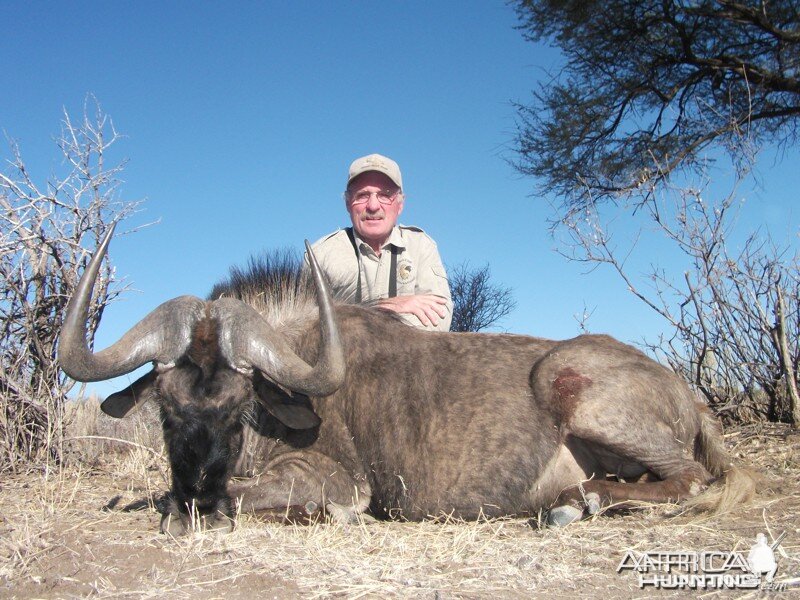 Black Wildebeest hunted with Ozondjahe Hunting Safaris in Namibia