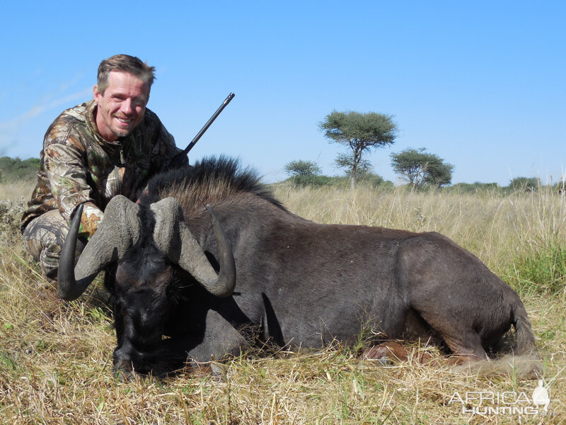 Black Wildebeest hunted with Ozondjahe Hunting Safaris in Namibia