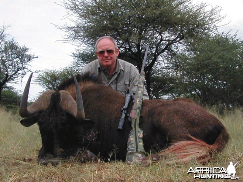 Black Wildebeest hunted with Ozondjahe Hunting Safaris in Namibia