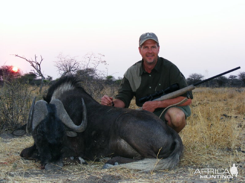 Black Wildebeest hunted with Ozondjahe Hunting Safaris in Namibia