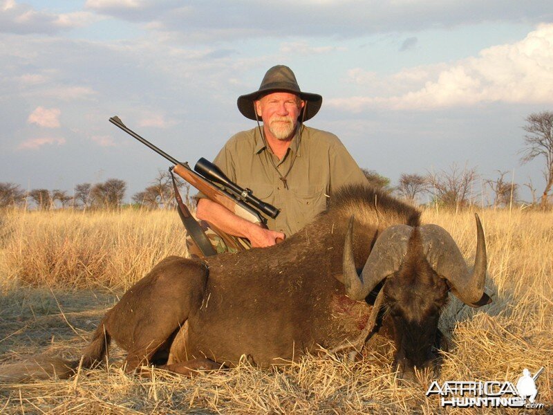 Black Wildebeest hunted with Ozondjahe Hunting Safaris in Namibia