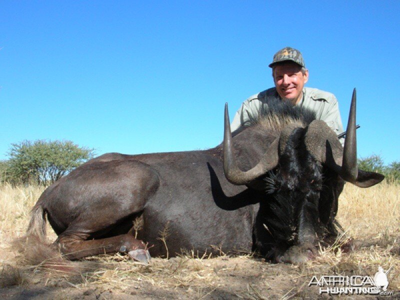 Black Wildebeest hunted with Ozondjahe Hunting Safaris in Namibia