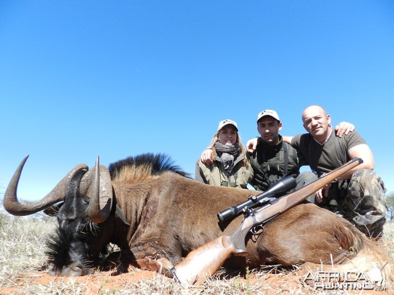 Black Wildebeest hunted with Wintershoek Johnny Vivier Safaris