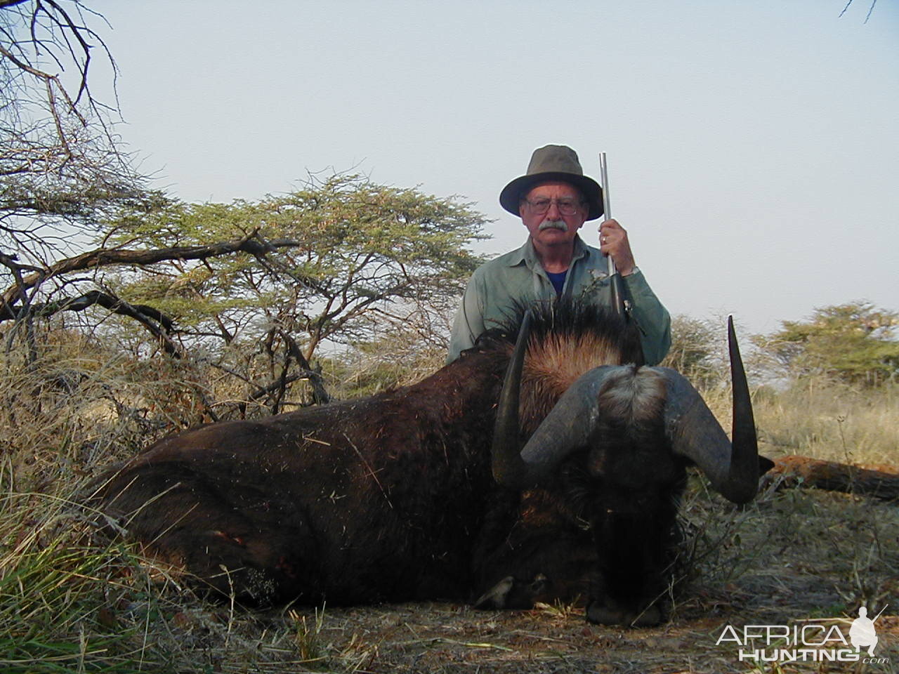 Black Wildebeest Hunting in Namibia