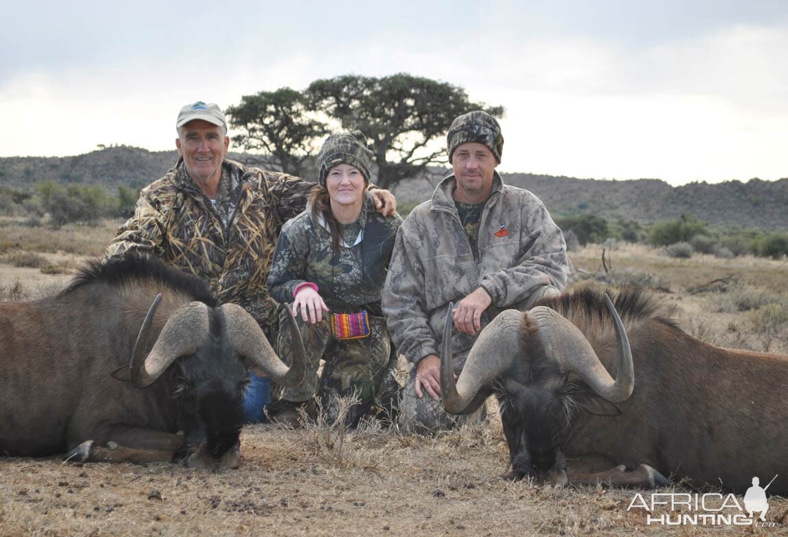 Black Wildebeest Hunting in South Africa