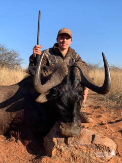 Black Wildebeest Hunting Namibia