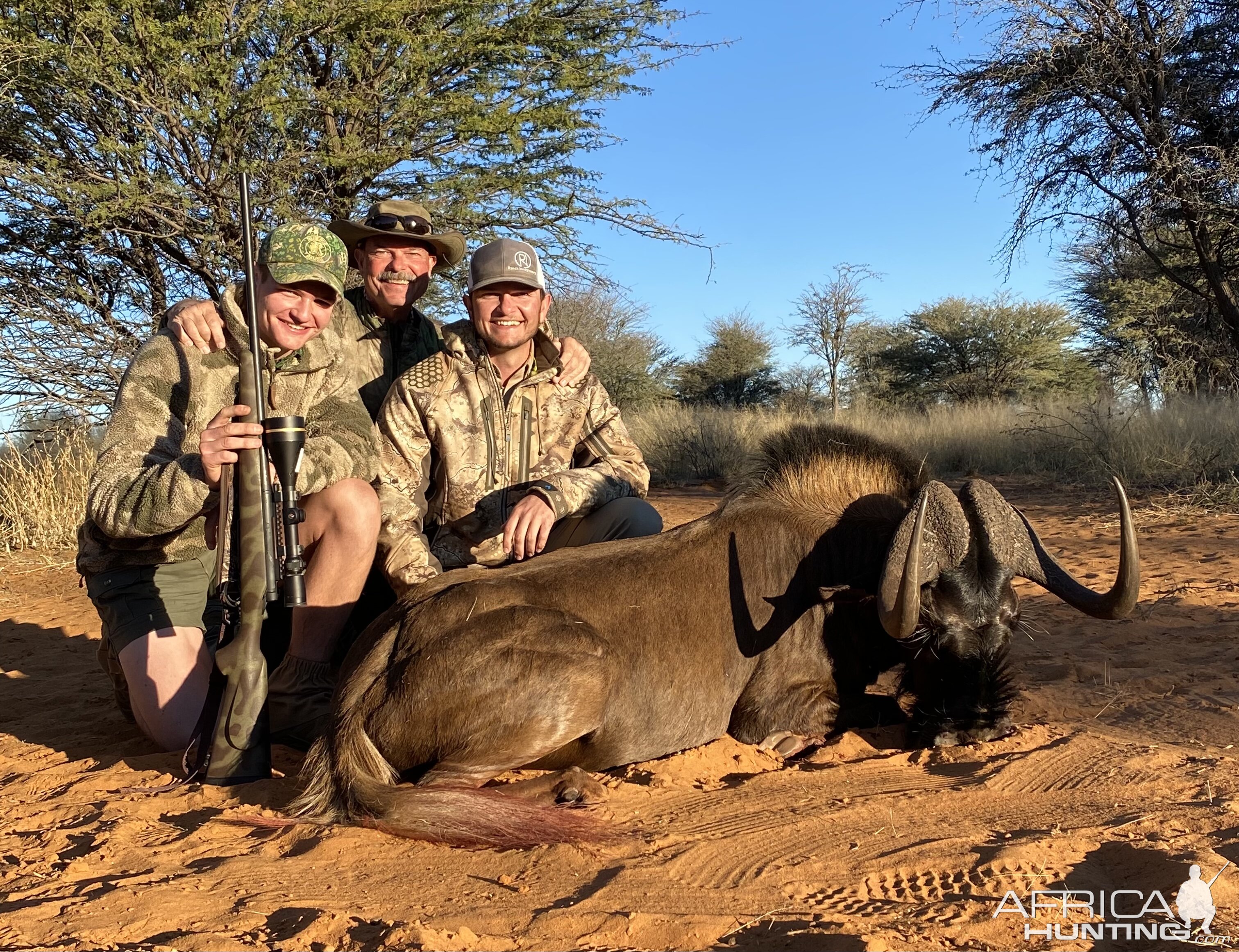 Black Wildebeest Hunting South Africa