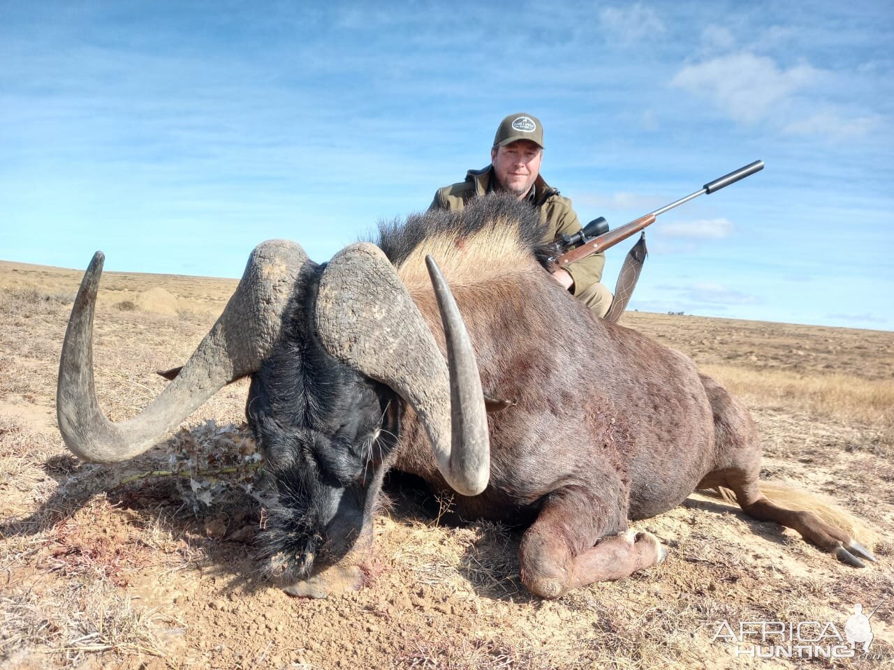 Black Wildebeest Hunting South Africa