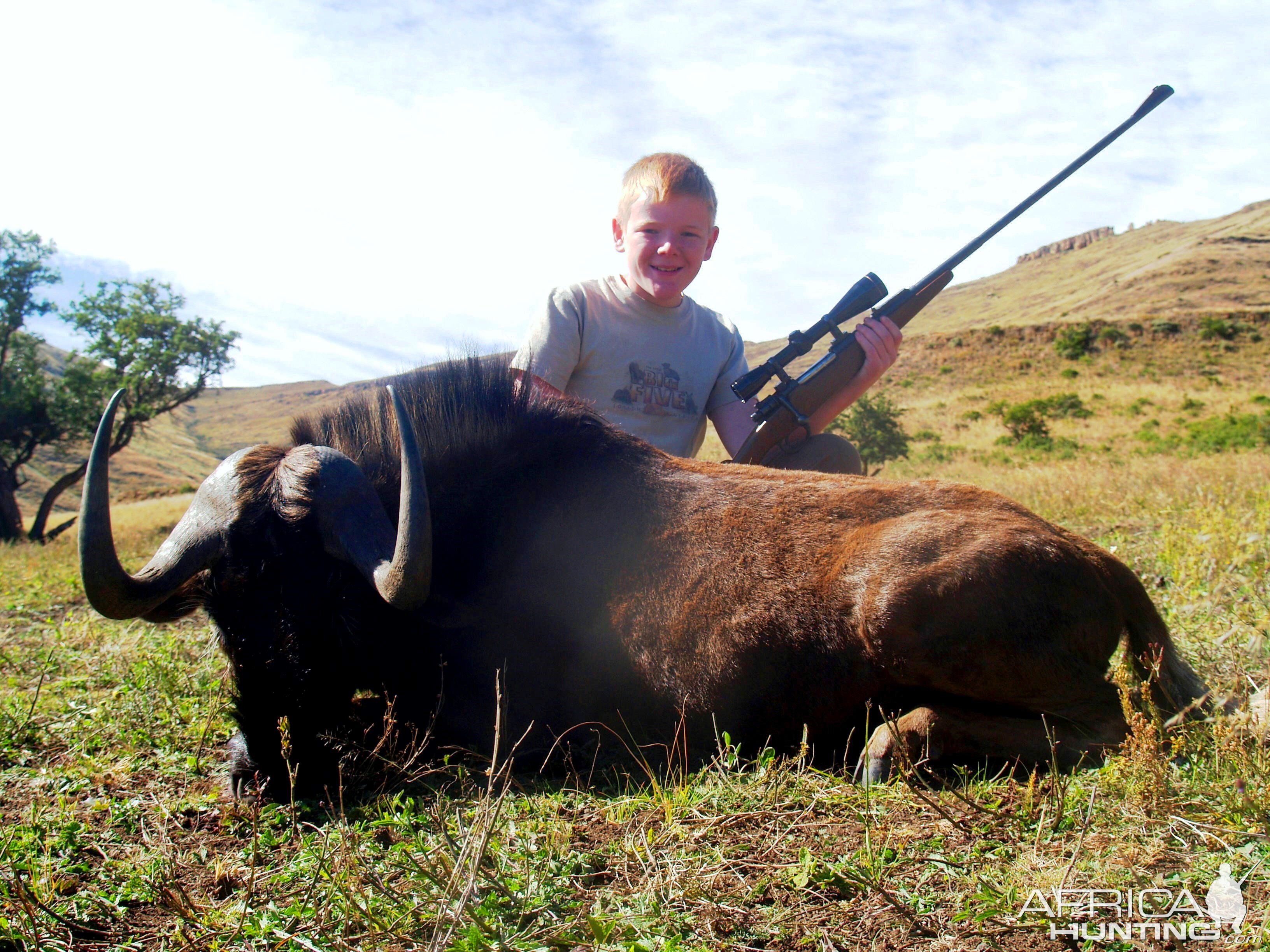 Black Wildebeest Hunting South Africa