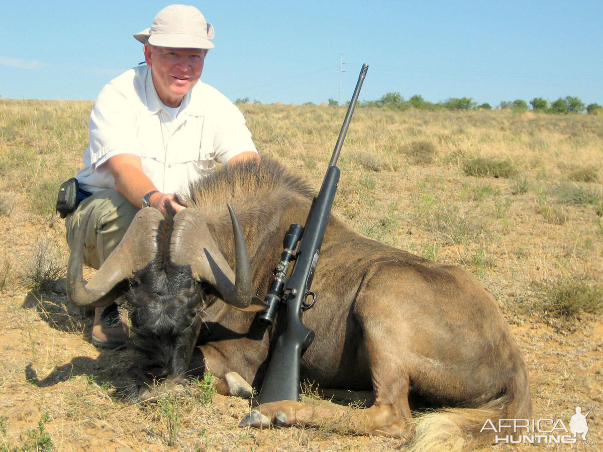 Black WIldebeest Hunting South Africa