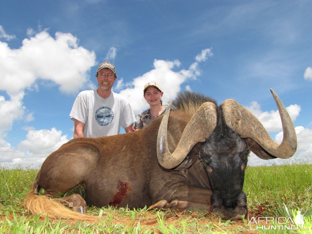 Black WIldebeest Hunting South Africa