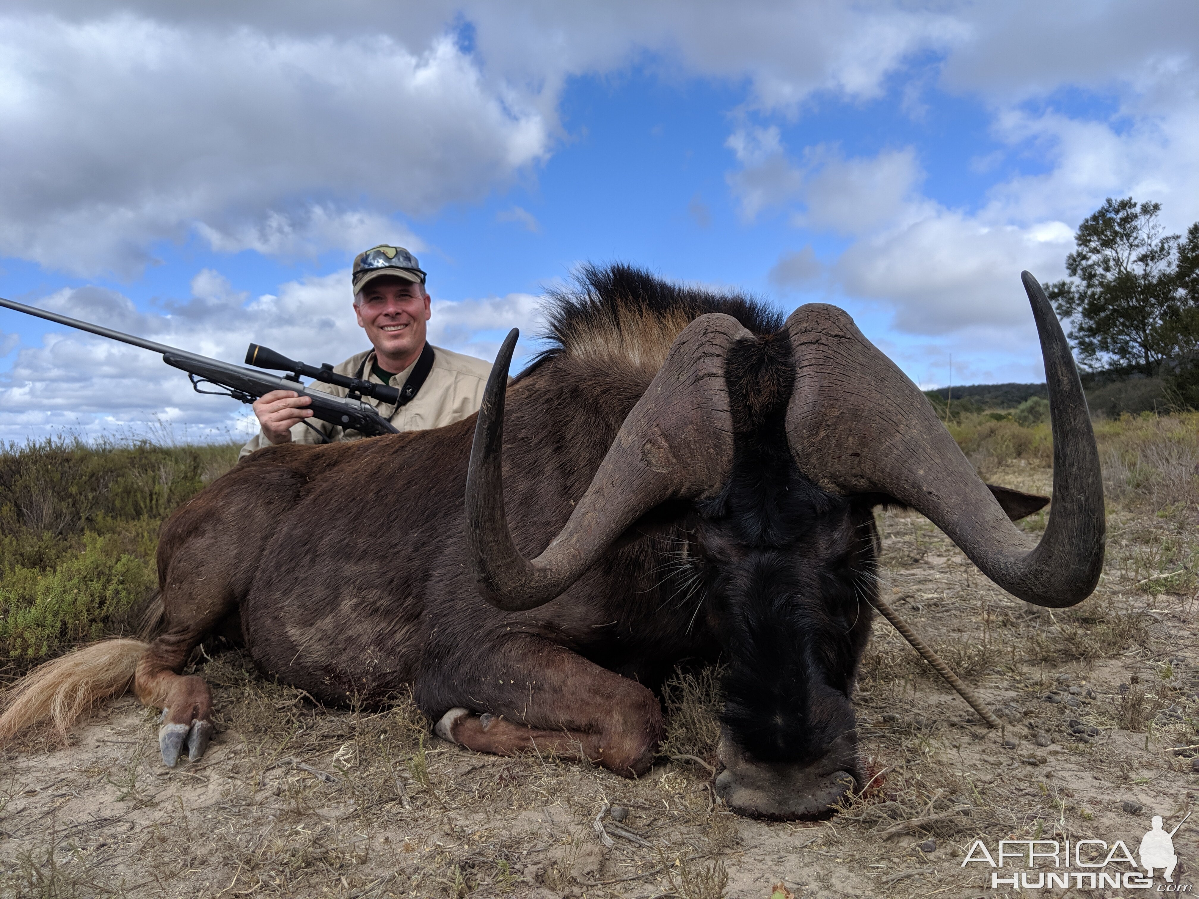 Black Wildebeest Hunting South Africa