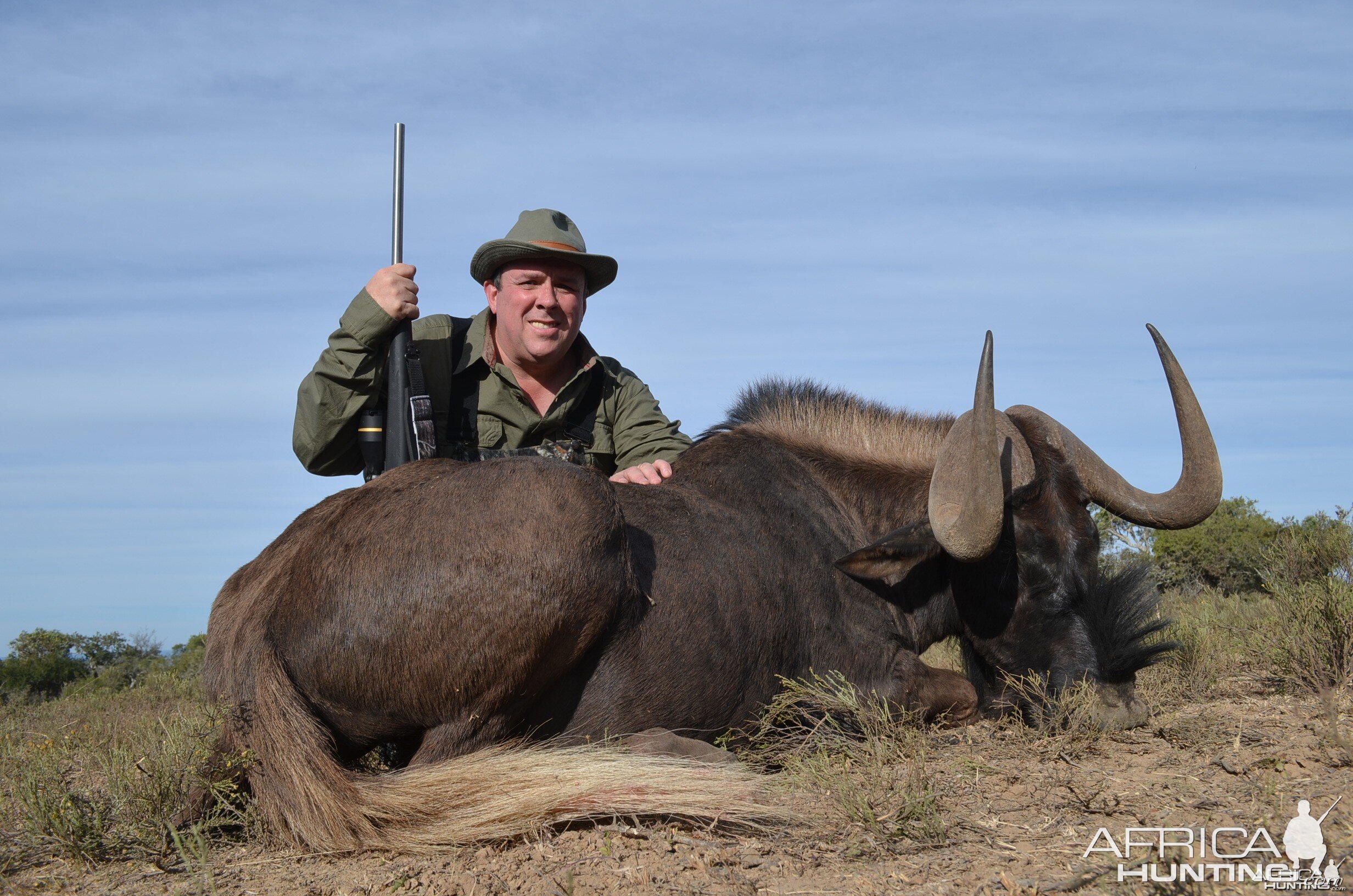 Black Wildebeest KMG Hunting Safaris