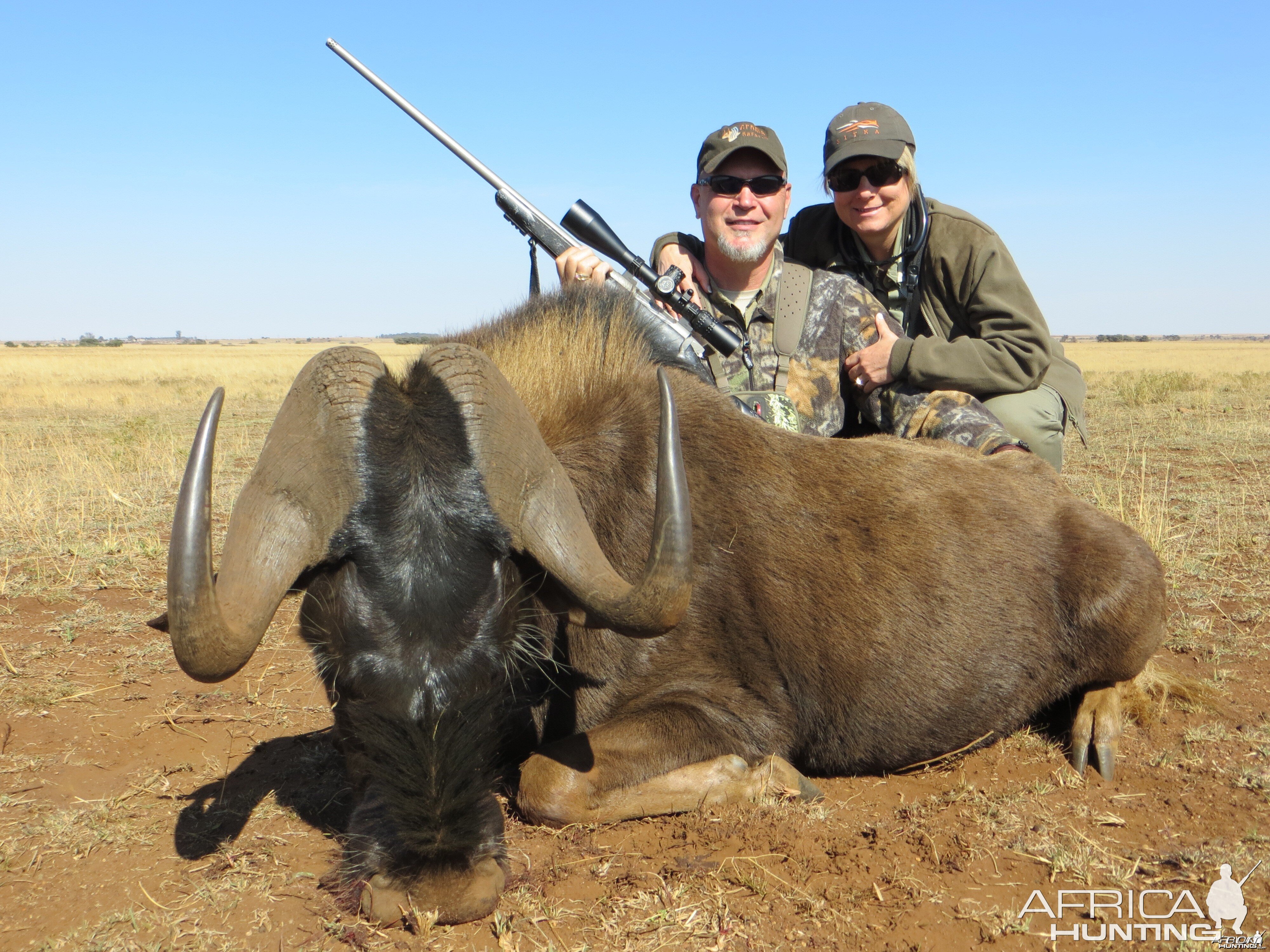 Black Wildebeest Limcroma