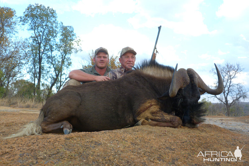 Black Wildebeest Namibia Hunt