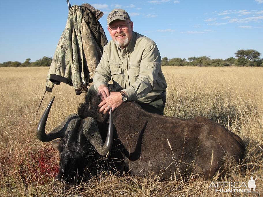 Black Wildebeest Namibia June 2006