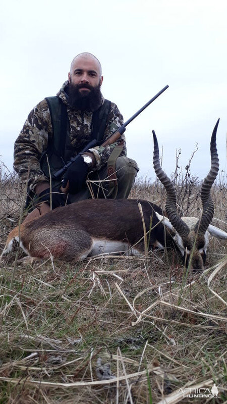 Blackbuck Hunt Argentina