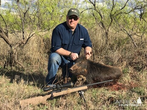 Blackbuck Hunting Texas