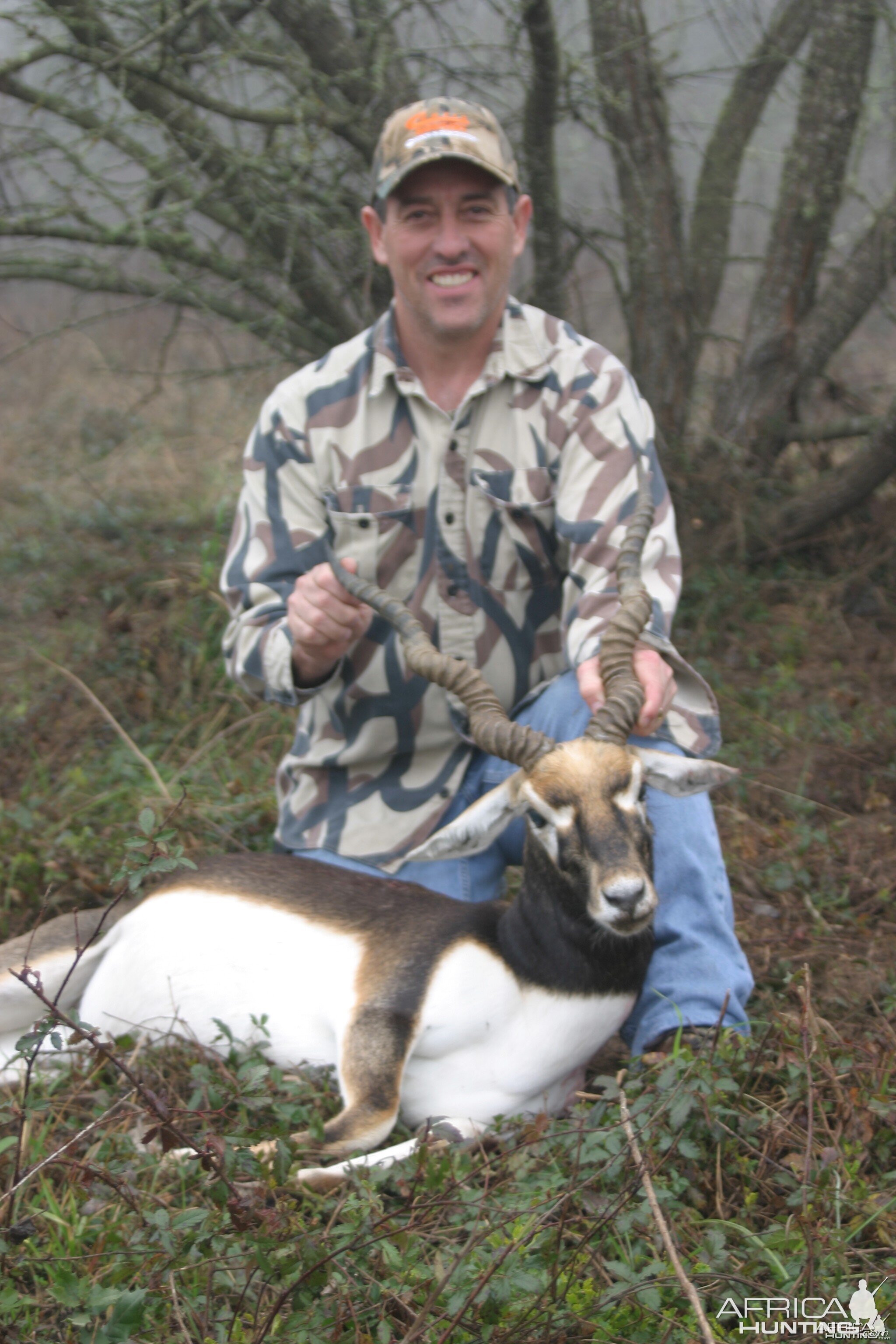 Blackbuck-Texas