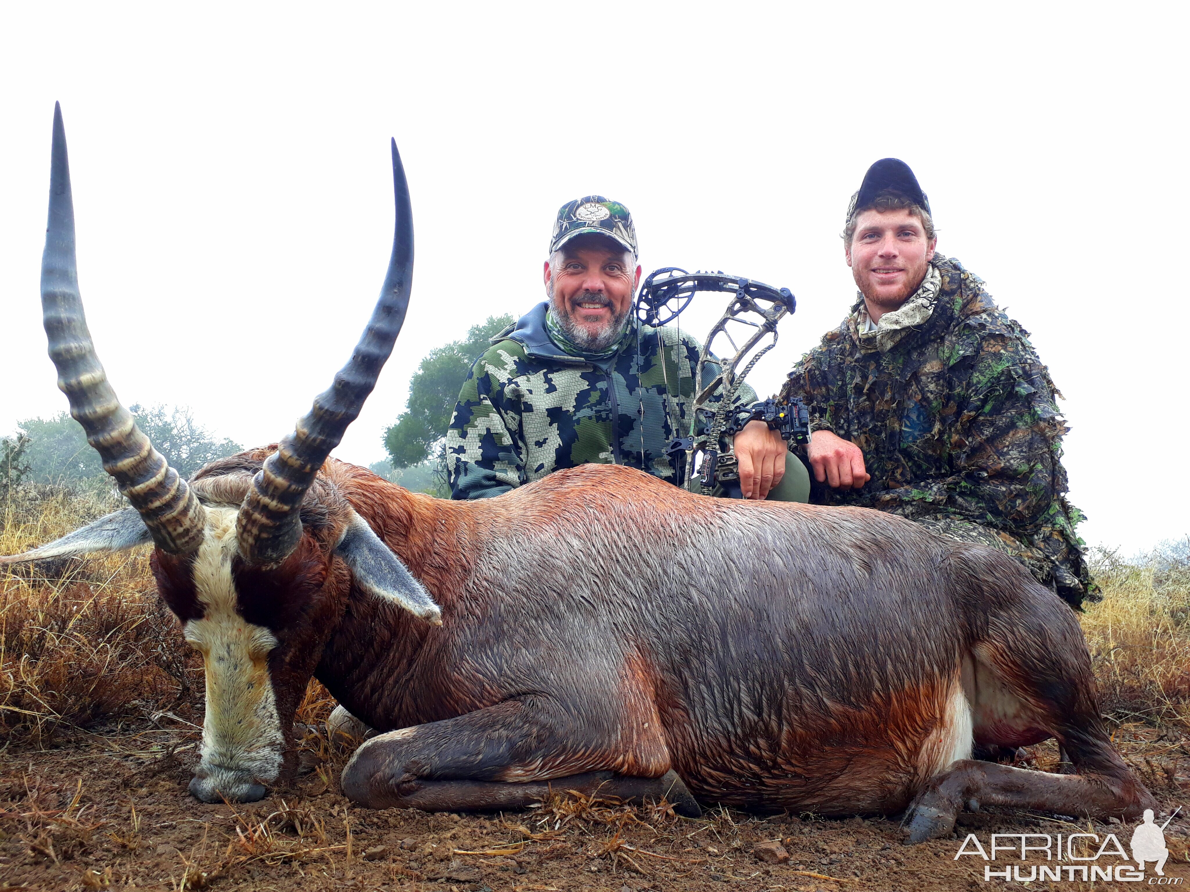 Blesbok Bow Hunt South Africa