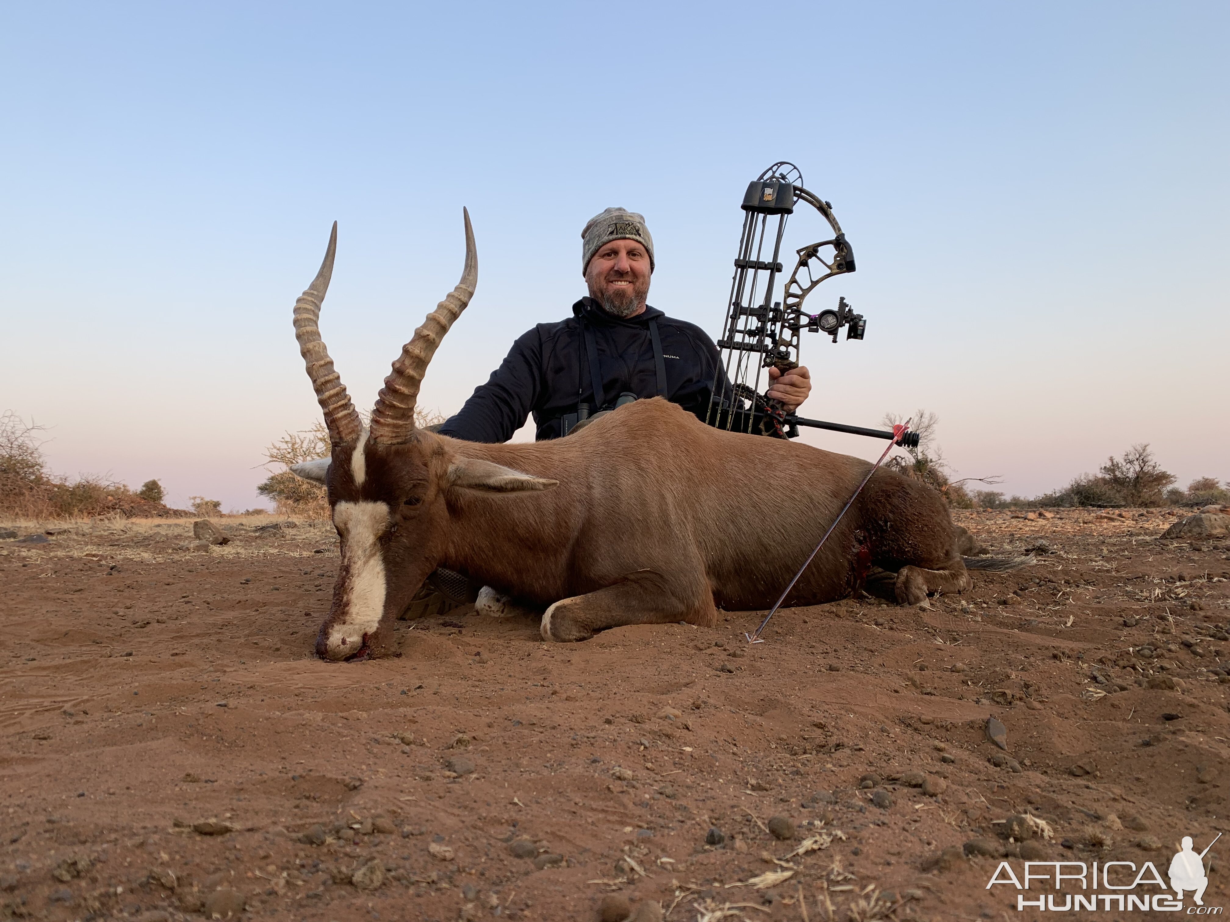 Blesbok Bow Hunt South Africa