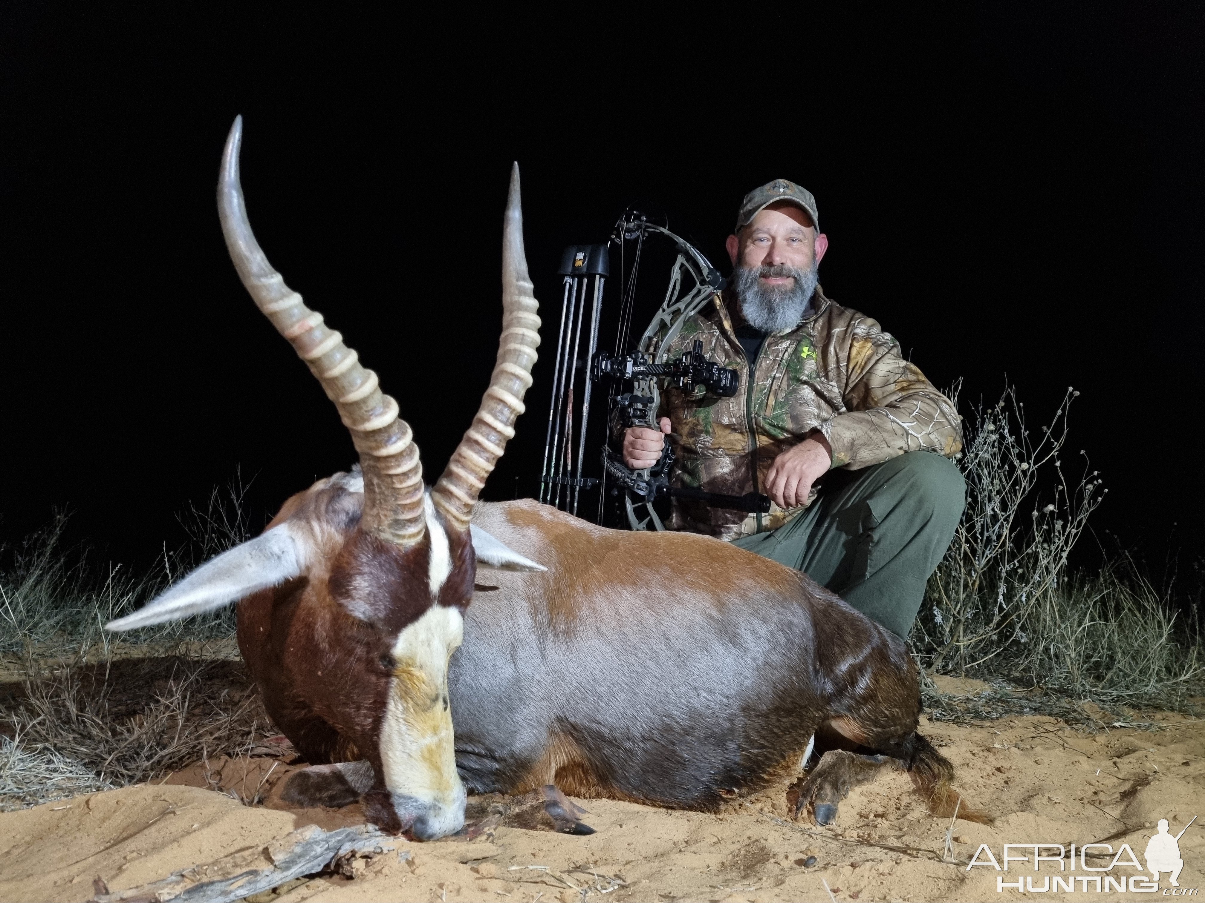 Blesbok Bow Hunting South Africa