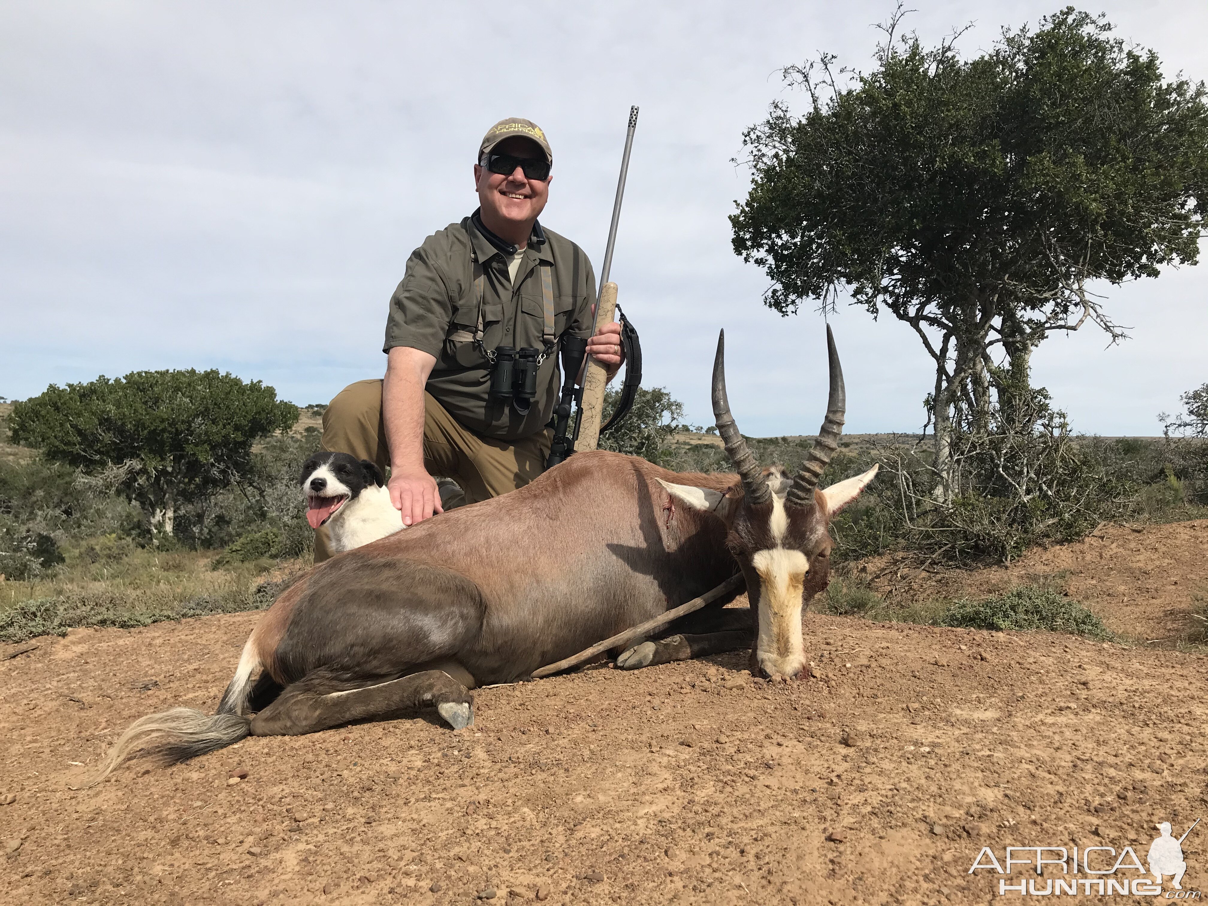 Blesbok Hunt Eastern Cape South Africa