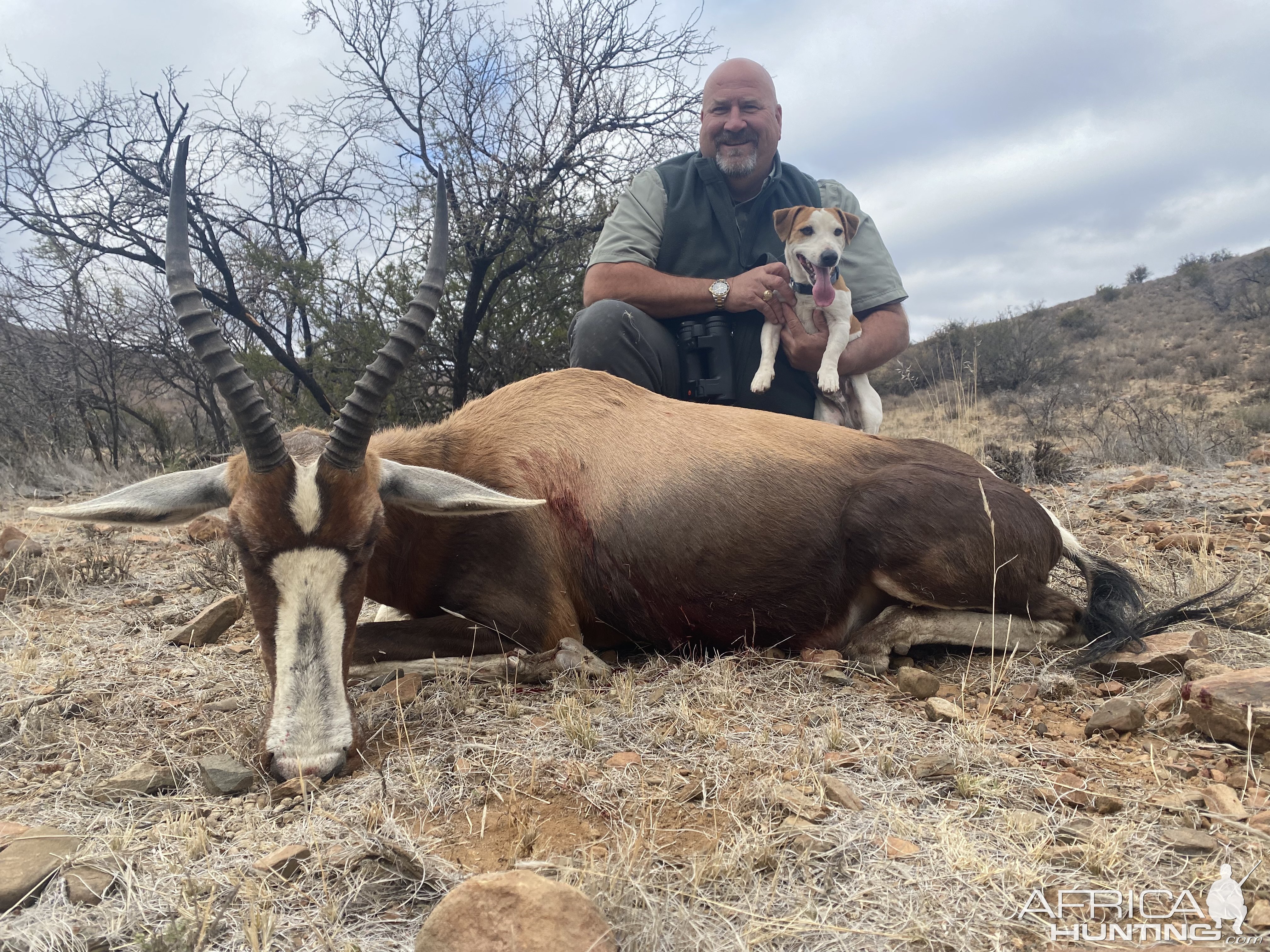 Blesbok Hunt Eastern Cape South Africa